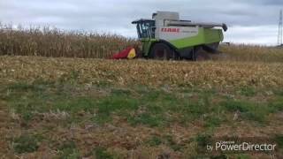 Moisson mais 2016