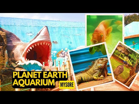 Planet Earth Aquarium