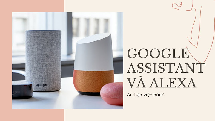 Yý nghĩa các mục đánh giá của alexa năm 2024