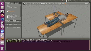 Robot Arm Control for Minimally Invasive Surgery - Capstone Project Demo