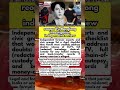 Yu Menglong News