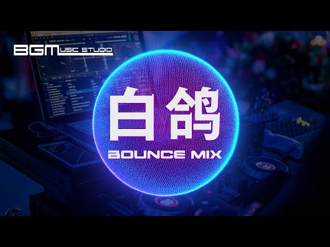 白鸽 ReMix 你的上好佳 Dj ReMix 