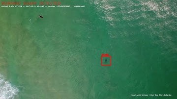 Live Shark Detection System - OPENCV Demo_2