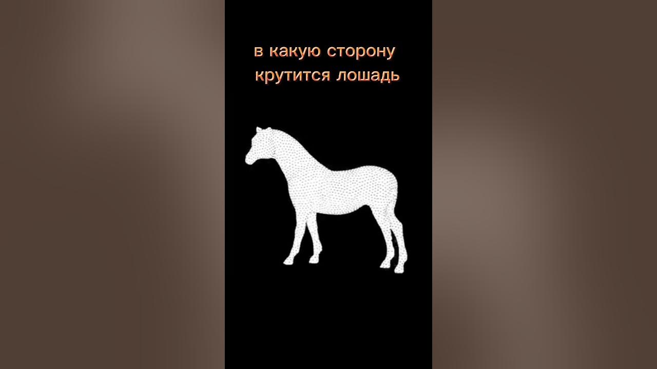 Только лошадь смотрит в мир иначе.... Обсуждение на LiveInternet