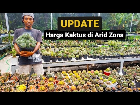 UPDATE HARGA KAKTUS 2021 (PART 1) di kebun Arid Zona pemesanan bisa WA 085725925792