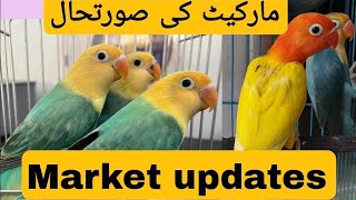 Lovebirds breeding business market Ki updates | wed / 29may / 24 by AHSAN PETs 743 views 5 days ago 4 minutes, 43 seconds