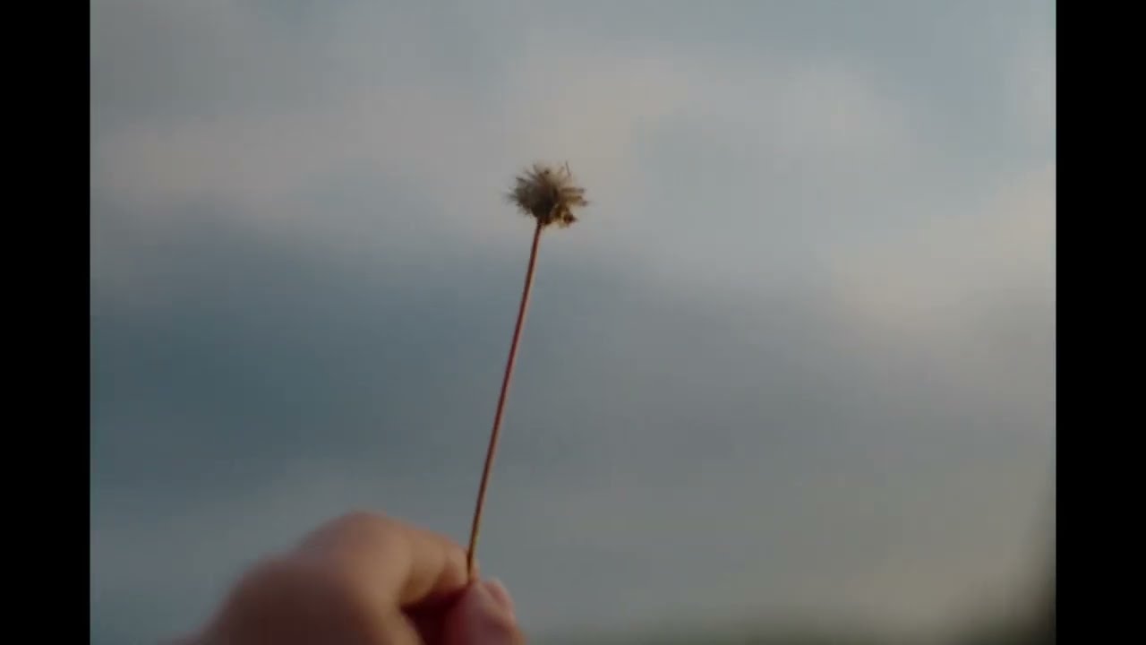 Good bye - Video Essay