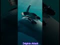 Dolphin Attack #dolphin #foryou #trending #fighter #gaming