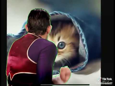 Robbie rotten hiding