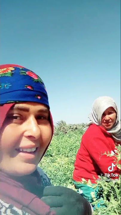 اغنية ياما الحنانة ها طلي طللا عشوية