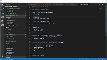 0021 - C++ programming: JSON reader/writer