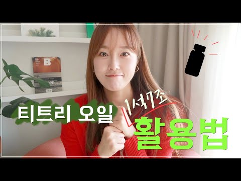 여드름 필수템 티트리오일 완.전.정.복💯  본전 뽑고도 남는 7가지 사용법 ✶ 루시파크 LUCY PARK