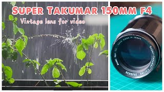 Asahi Pentax Super Takumar 150mm f4 M42  - Vintage lens for video - Rain in Slow Motion