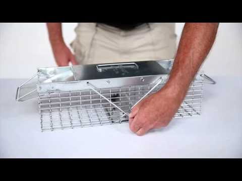 How to Set: Havahart® X-Small 2-Door Trap Model #1025 for Weasels