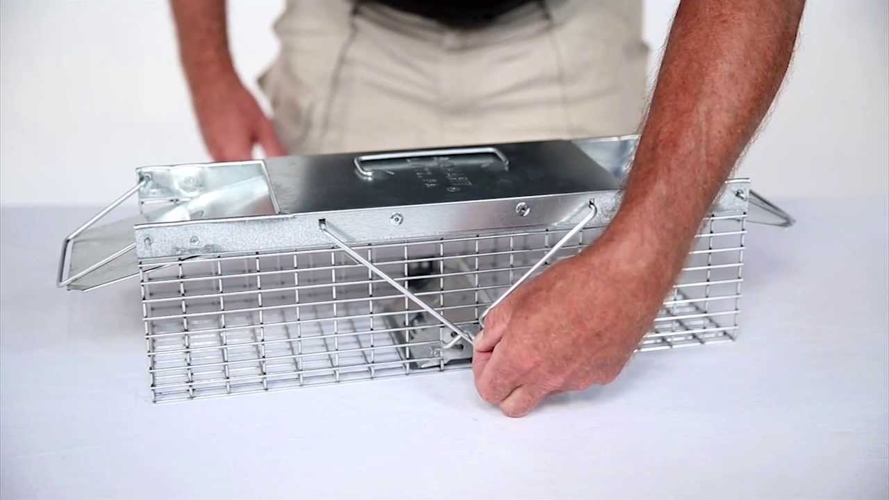 How to Set: Havahart® X-Small 2-Door Trap Model #1020 for Mice