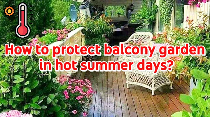 How to protect balcony garden in hot summer days? - DayDayNews