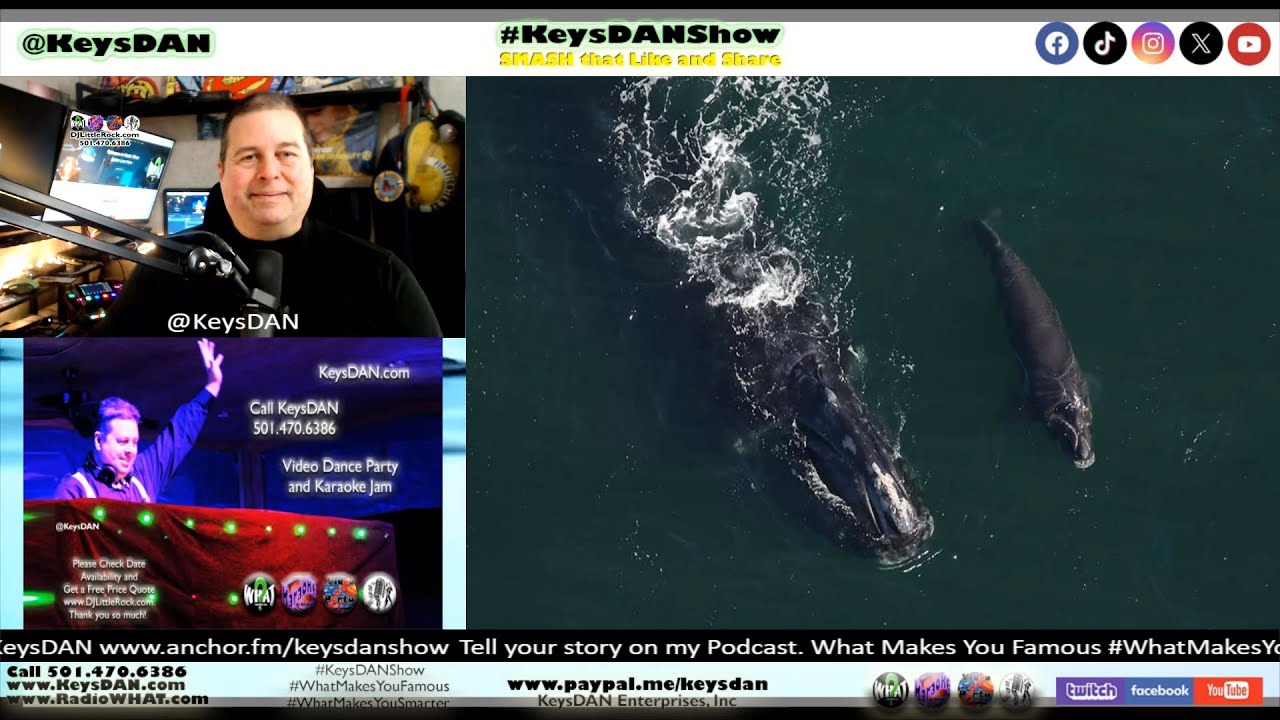 North Atlantic Right Whale Calves: A Miracle of Hope KeysDAN Show 
