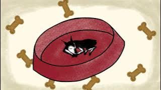 INIS - Animal (Japanese Version) Official Lyric Video