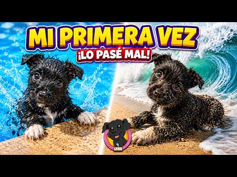 🐶 BABY LANA is SO SCARED of the WATER… 💦