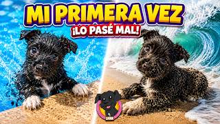 🐶 LANA BEBÉ tiene MUCHO MIEDO al AGUA… 💦
