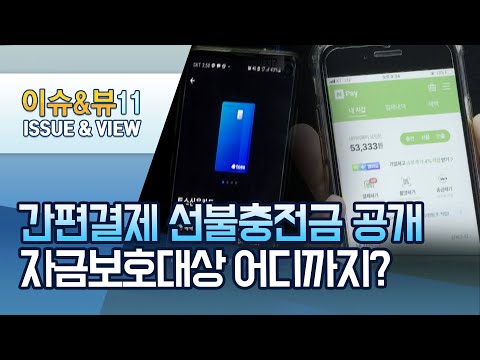<strong>간편결제</strong> 충전금 속속 공개…고객자금 보호대상 어디까지? / 머니투데이방송 (뉴스)