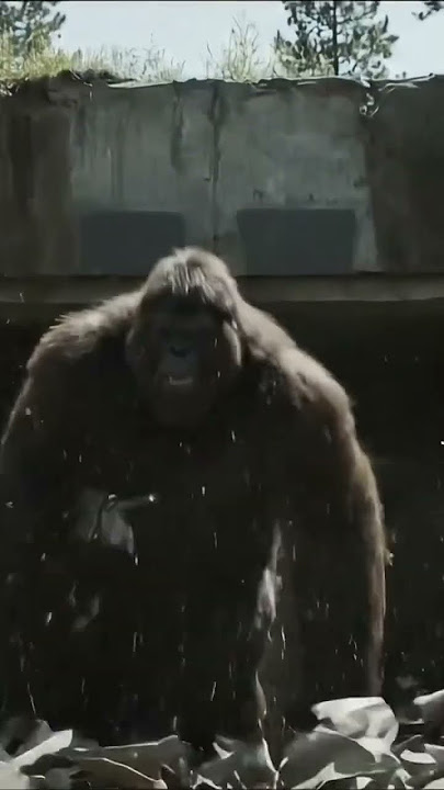 Bigfoot Origin Story (Part 8): Bigfoot makes a triumphant escape from the underground bunker