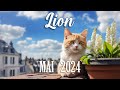 Lion  mai 2024  bon choix 