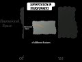 Superposition in Transformers #superpositionprinciple #transformers #chatgpt