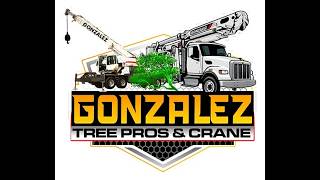 Gonzales Tree Pros Crane Services