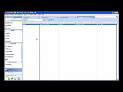 Hoe werkt AccountView-boekhoudsoftware
