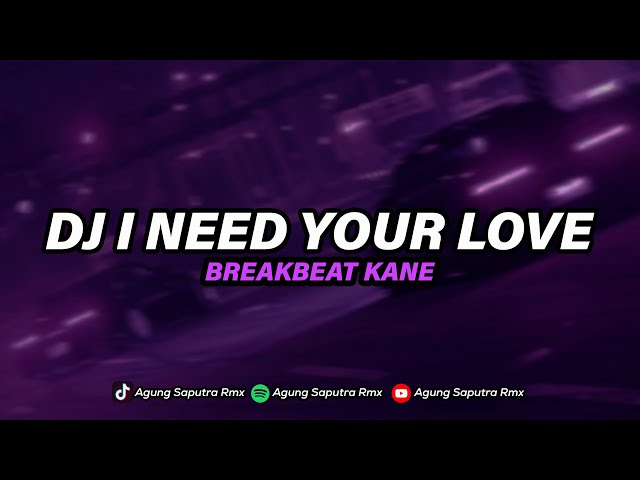 DJ I NEED YOUR LOVE BREAKBEAT X STEREO LOVE X SUWUNG class=