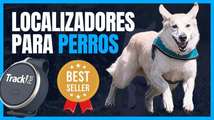 Collar Localizador GPS para Perros