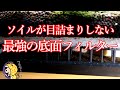 噴き上げ式底面フィルター立ち上げ８か月の経過報告。底面フィルターやるならこのシステムが最強だと思った話し。