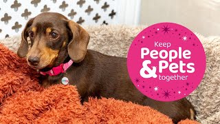 Roma White | PDSA Pet Patient | Winter Appeal 2023