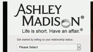 Celebrity Identity theft expert on Ashley Madison hack Wealth