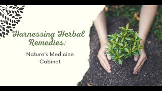 Harnessing Herbal Remedies: Nature's Medicine Cabinet