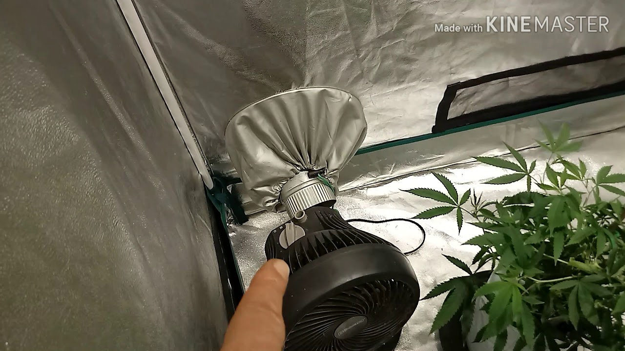 Mars Hydro 4x4 tent review - YouTube