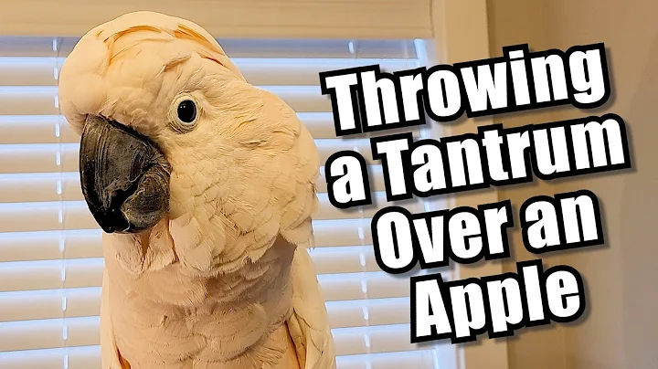 Max Throws a Tantrum Over an Apple (Subtitles) - DayDayNews