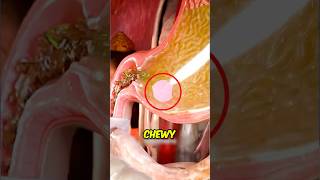 You've Been Lied To About Swallowing Gum😱🍬