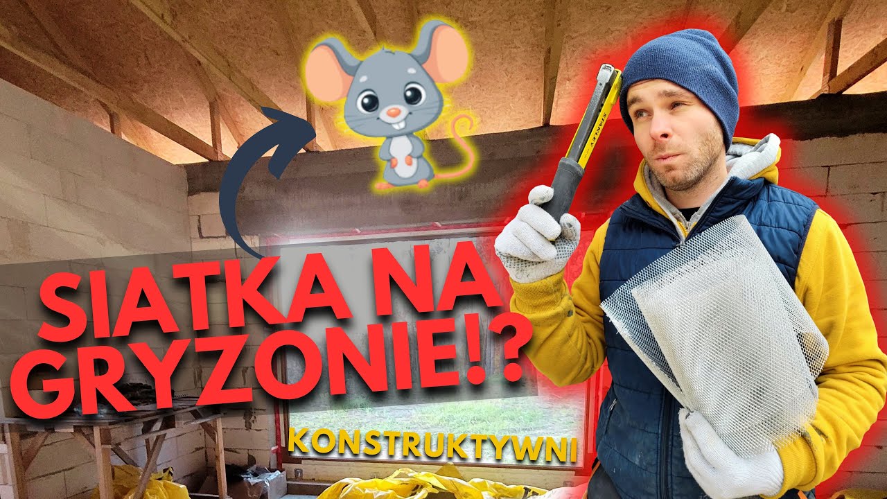 MYSZ SIĘ NIE PRZEŚLIŹNIE?! Zabudowa z OSB! #Konstruktywni #42