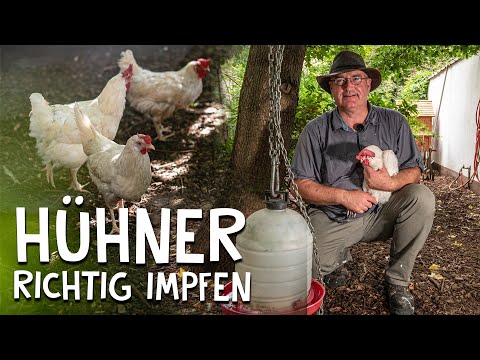 Video: Die Hühnerpocken-Impfung: Impfen oder nicht?