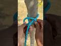 Amazing Slip knot Around The Tree !