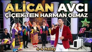 Alican Avcı - Çiçekten Harman Olmaz Yar Derde Derman Olmaz 4 - 4 Halay