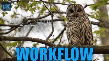 Lightroom Classic Workflow Tips | Stay Organized & Edit Like a Pro (Video 11)