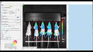 How to Optimize the Calibration Bar - Aura 3.2 Software Tutorial