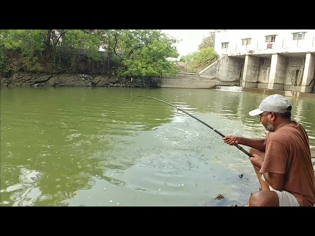 Fish hunting || Amazing Catching big rohu fishes class=