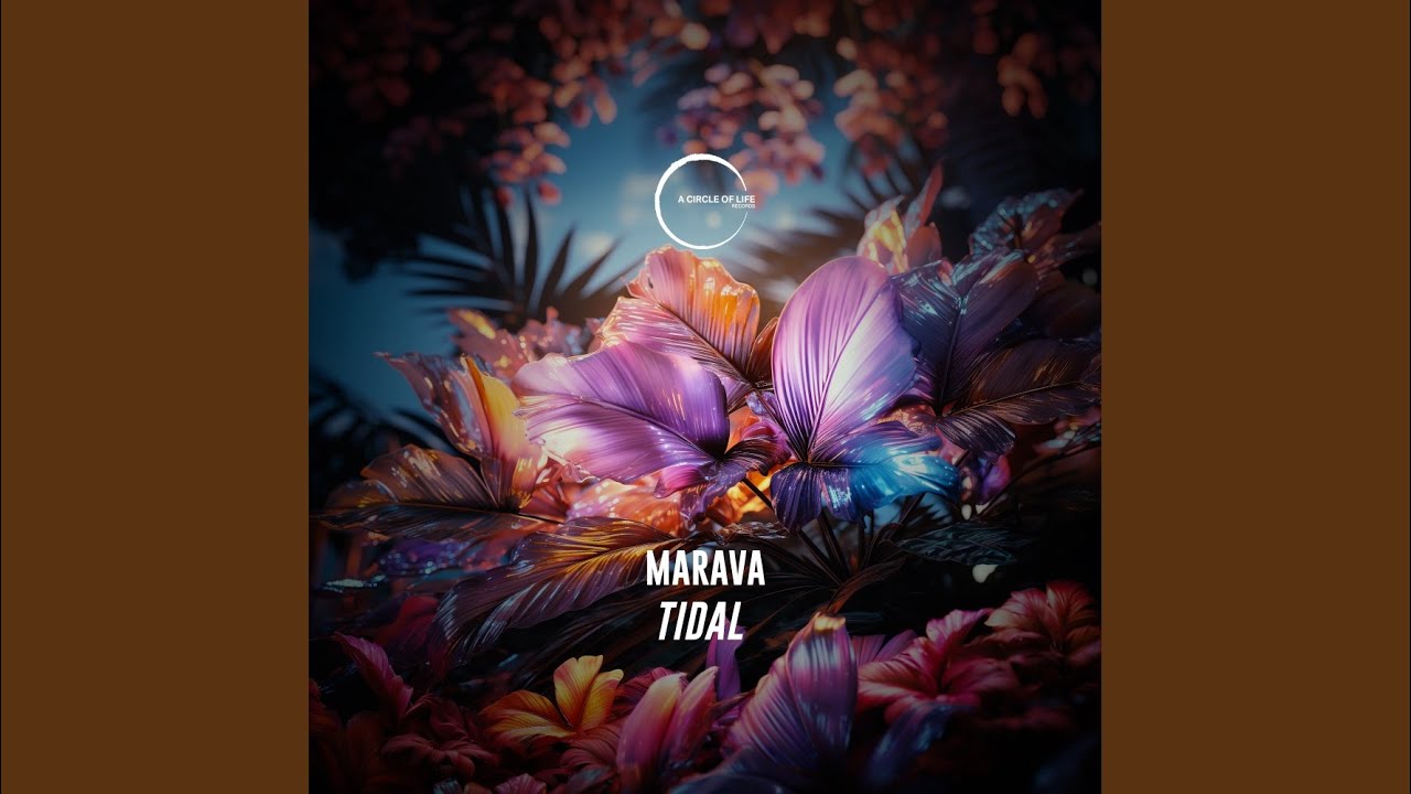 Watch Tidal on YouTube Watch Tidal on YouTube