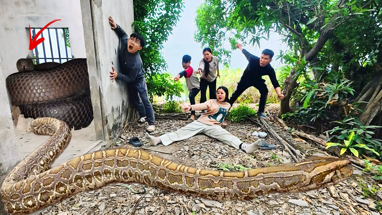 Отважные специалисты спасли девочку из этнической группы от анаконды в заброшенном доме.