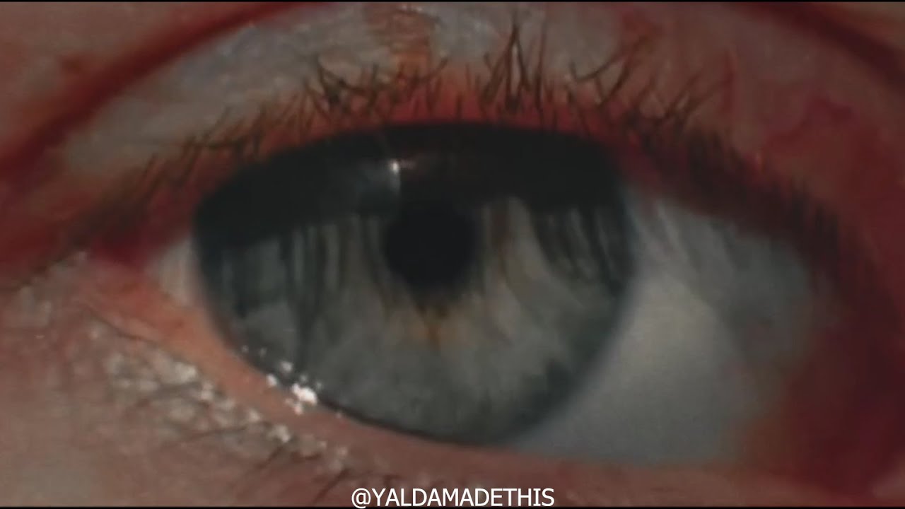 [FREE] Melodic West Coast Type Beat 