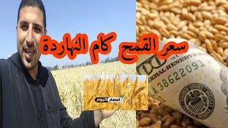 مازال السؤال مستمر سعر القمح كام ووزن الاردب كام كيلو موسم ٢٠٢٢